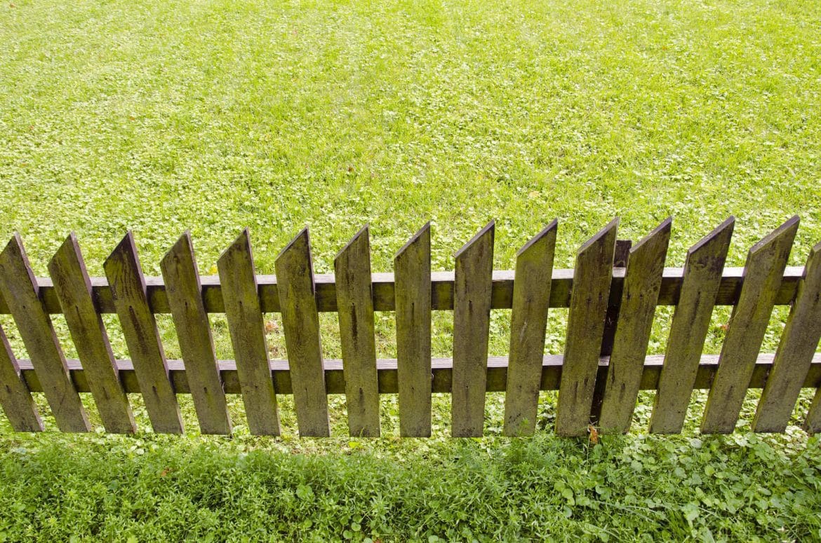 Choosing The Best Materials To Use For Your Garden Fence